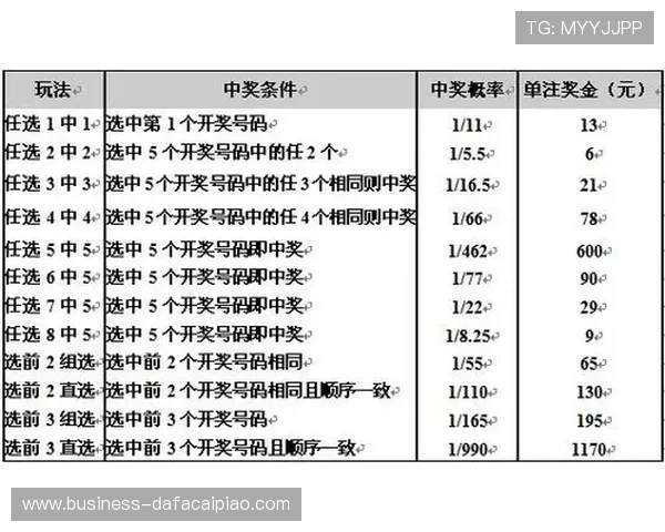 揭秘高概率中奖的彩票投注技巧与选号策略全面指南