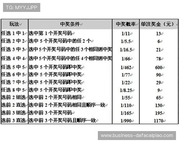 十一选五投注技巧全解析与中奖概率提升方法深度揭秘